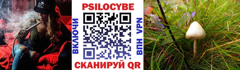 Галлюциногенные грибы MAGIC MUSHROOMS hydra ONION Верхняя Тура